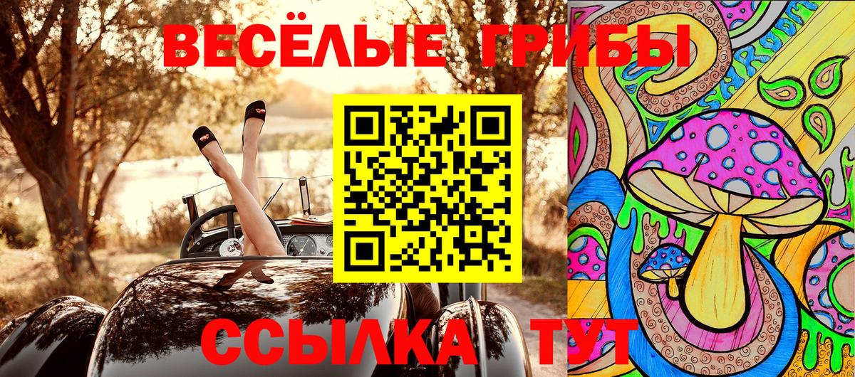 Псилоцибиновые грибы MAGIC MUSHROOMS Тара
