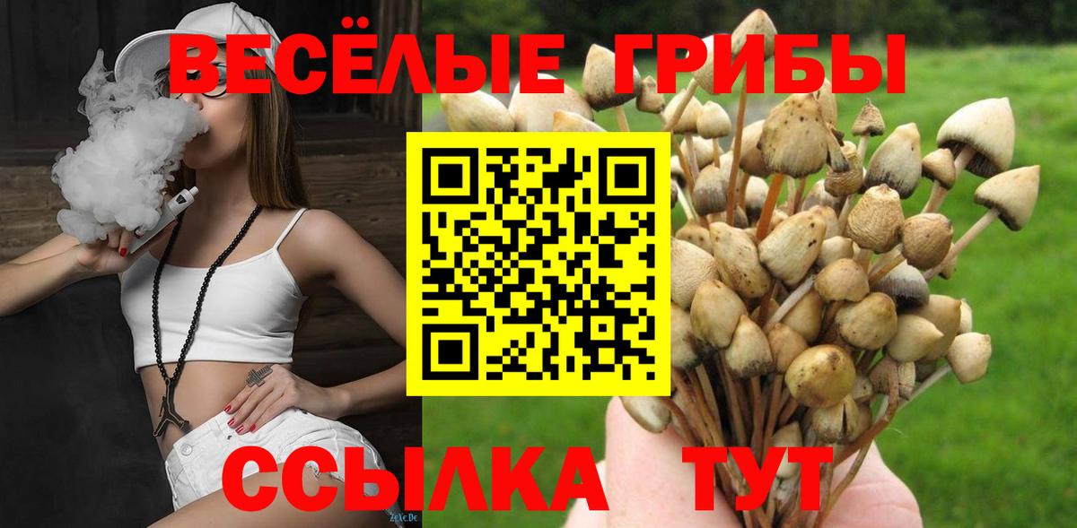 Галлюциногенные грибы мухоморы  Вход с VPN  Псилоцибиновые грибы GOLDEN TEACHER  Тара 